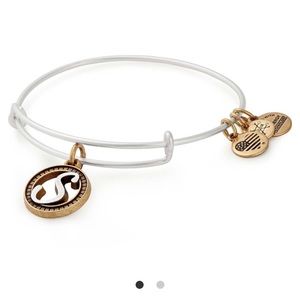 “S” Alex and Ani Bracelet